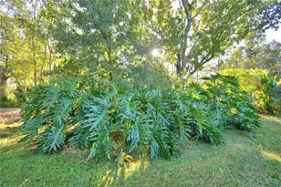 329 El Dorado, Winter Haven, FL 33884 - Photo 60