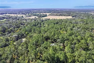 17059 N Hwy 329, Reddick, FL 32686 - Photo 44