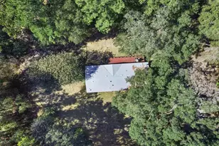 17059 N Hwy 329, Reddick, FL 32686 - Photo 42