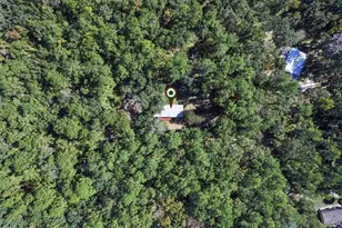 17059 N Hwy 329, Reddick, FL 32686 - Photo 48