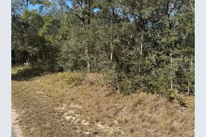 Se 115 Place Road, Ocklawaha, FL 32179 - Photo 4