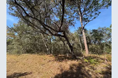 Se 115 Place Road, Ocklawaha, FL 32179 - Photo 1