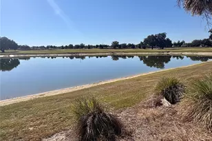 1052 Jackson St, The Villages, FL 32162 - Photo 10