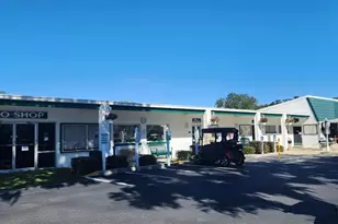 2 Grove Trail, Wildwood, FL 34785 - Photo 54