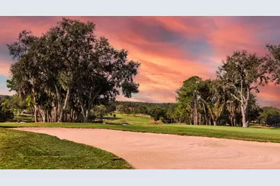 33 Camino Real #303, Howey in the Hills, FL 34737 - Photo 26