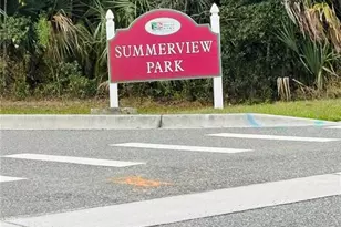 3343 Wolf Run Rd, Mount Dora, FL 32757 - Photo 36