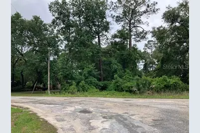 Se 21st Place Road, Silver Springs, FL 34488 - Photo 4