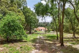 33943 E Lake Joanna Dr, Eustis, FL 32736 - Photo 16