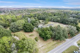 28751 Sleepy Bear Ln, Sorrento, FL 32776 - Photo 46