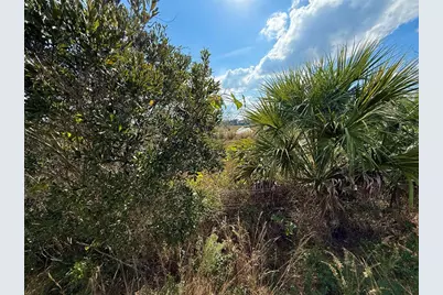 Lot 9 Fort Christmas Road, Christmas, FL 32709 - Photo 22