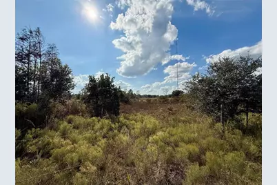 Lot 9 Fort Christmas Road, Christmas, FL 32709 - Photo 16