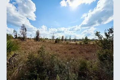 Lot 9 Fort Christmas Road, Christmas, FL 32709 - Photo 20