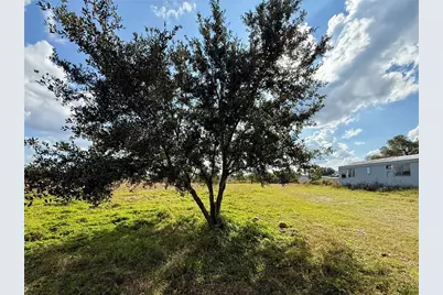 Lot 9 Fort Christmas Road, Christmas, FL 32709 - Photo 8