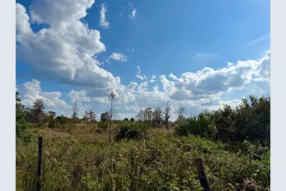 Lot 9 Fort Christmas Road, Christmas, FL 32709 - Photo 12