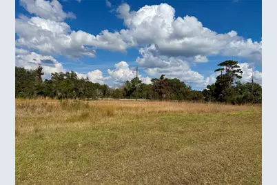 Lot 9 Fort Christmas Road, Christmas, FL 32709 - Photo 24