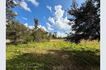 Lot 9 Fort Christmas Road, Christmas, FL 32709 - Photo 6
