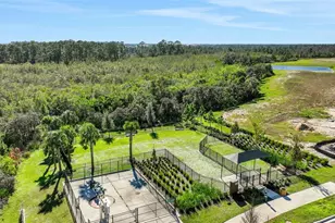 13011 Tranquil Water Aly, Winter Garden, FL 34787 - Photo 44