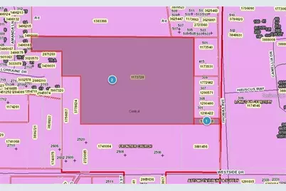Thomas Avenue, Leesburg, FL 34748 - Photo 4
