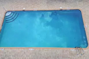 7980 Southern Pines Dr, Brooksville, FL 34601 - Photo 34