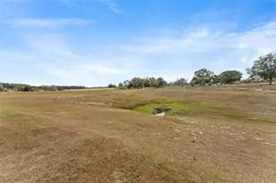 11530 Adam Lee Wy, Dade City, FL 33525 - Photo 40