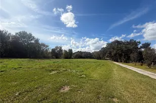 15340 Mallory Ln, Clermont, FL 34715 - Photo 2