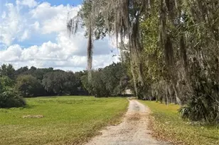 15340 Mallory Ln, Clermont, FL 34715 - Photo 4