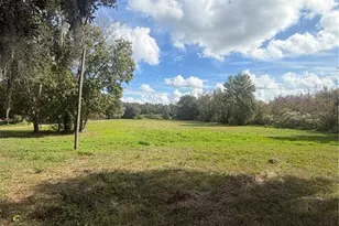 15340 Mallory Ln, Clermont, FL 34715 - Photo 22