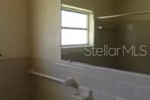 905 Marion Dr, Mount Dora, FL 32757 - Photo 8