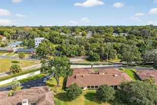 100 S Tremain St, Mount Dora, FL 32757 - Photo 40