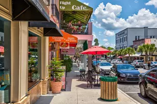 100 S Tremain St, Mount Dora, FL 32757 - Photo 38