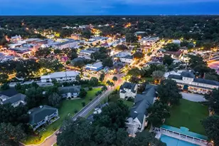 100 S Tremain St, Mount Dora, FL 32757 - Photo 44