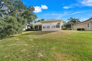 16729 Tall Grass Ln, Clermont, FL 34711 - Photo 32