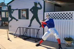 3425 Mt Hope Loop, Leesburg, FL 34748 - Photo 74