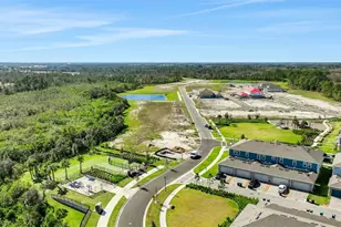 13356 Peaceful Melody Dr, Winter Garden, FL 34787 - Photo 10