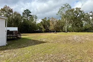 18104 NE 143rd Ave, Waldo, FL 32694 - Photo 10