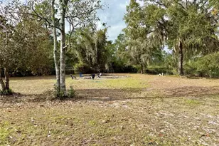 18104 NE 143rd Ave, Waldo, FL 32694 - Photo 8