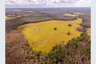 Line Block Road, Clermont, FL 34714 - Photo 12