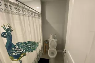 5686 Alenlon Way, Mount Dora, FL 32757 - Photo 42