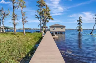 10303 Thompson Pl, Clermont, FL 34711 - Photo 50