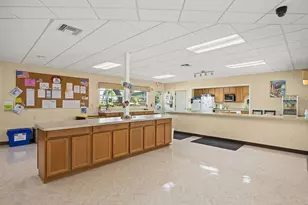 1043 Capella Dr, Tavares, FL 32778 - Photo 50