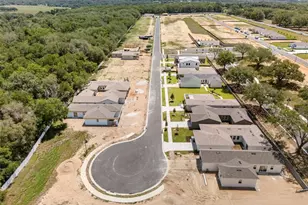 458 Skyfield Ct, Lady Lake, FL 32159 - Photo 28