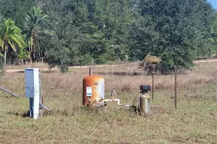 2926 Sharon Rd, Groveland, FL 34736 - Photo 16