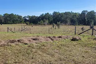 2926 Sharon Rd, Groveland, FL 34736 - Photo 14