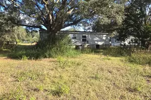 17140 SE 251st Terrace, Umatilla, FL 32784 - Photo 2