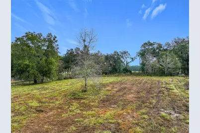 County Road 209, Oxford, FL 34484 - Photo 8