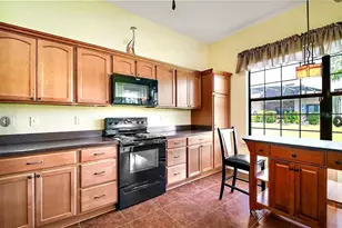 11041 S E 169th Pl, Summerfield, FL 34491 - Photo 10