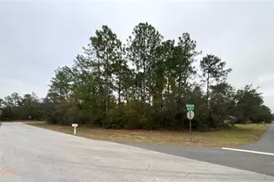 Tbd SW 150 Ln, Ocala, FL 34473 - Photo 1