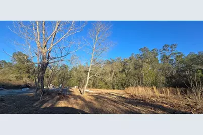 14175 SE 209th Terrace, Umatilla, FL 32784 - Photo 2