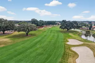 32 Hickory Head Hammock, The Villages, FL 32159 - Photo 4