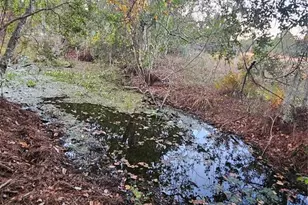 29723 Fullerville Rd, Deland, FL 32720 - Photo 48